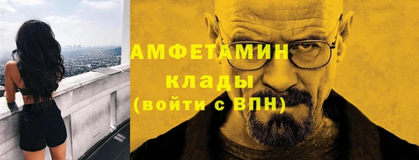 ешки Вяземский