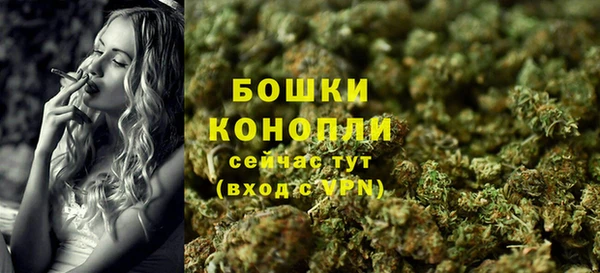 ешки Вяземский