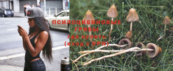 a pvp Вязьма