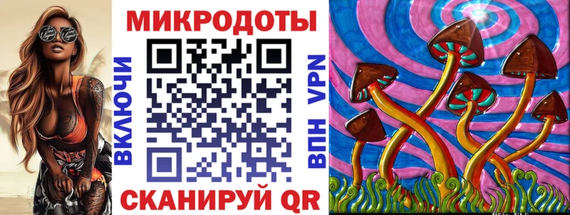 закладка  Лебедянь  Галлюциногенные грибы Psilocybine cubensis 